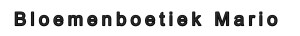 Naar de startpagina